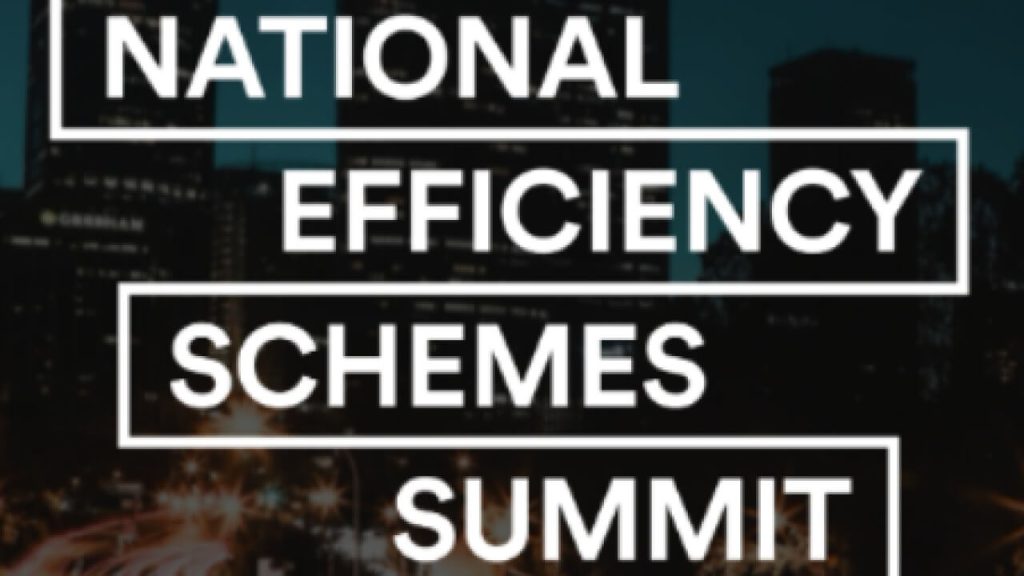 NESS23 – RACE for 2030’s Jenniy Gregory is on the panel